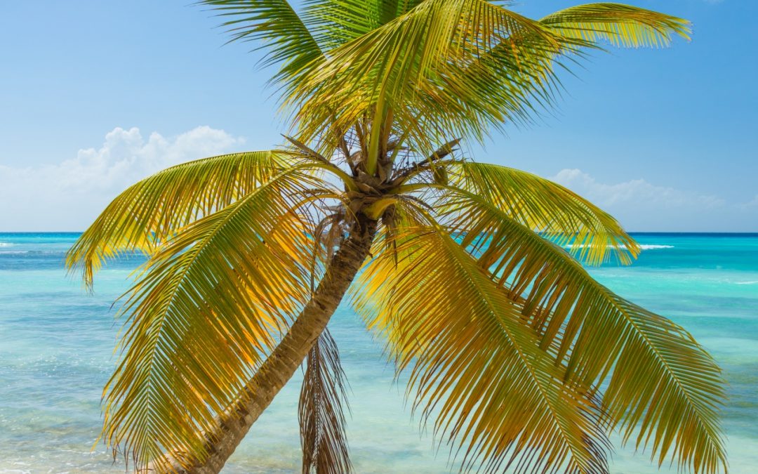 Key West – Out Loud!